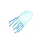 Открытка медуза